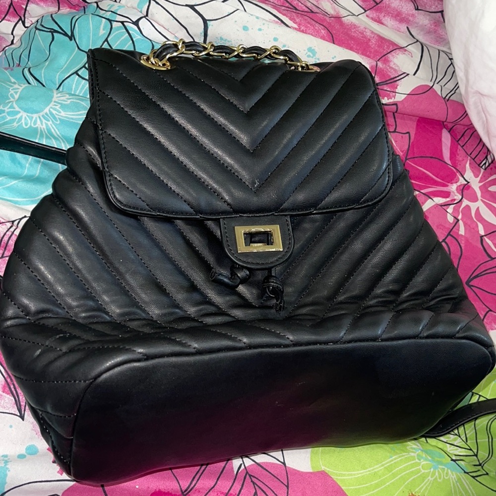 Purse/back pack